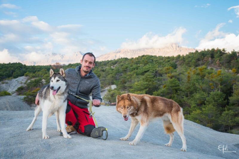 photo musher et ses chiens photographe gap